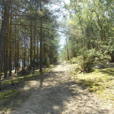 11885727_915447658528471_1103505445415045154_o